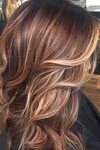 Pin by Eileen DePaolo on Hair Brown blonde hair, Hair styles