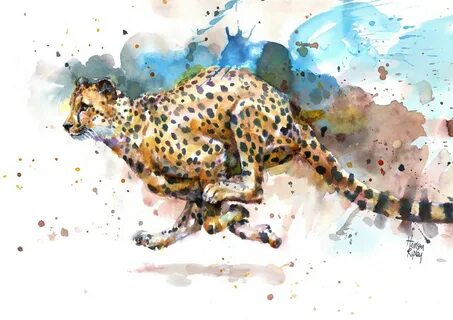 Cheetah Print by Harrison Ripley Etsy
