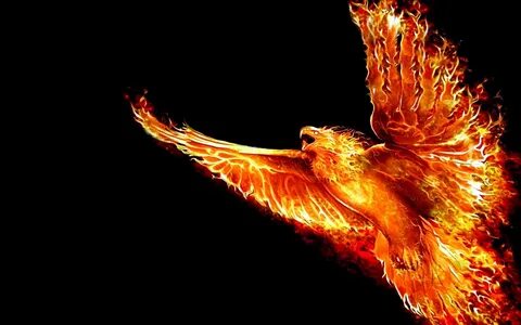 #fenix #fire #firebird #flame #Flight #phoenix #1080P #wallp