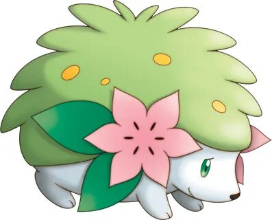 Cute Pokemon Shaymin Related Keywords & Suggestions - Cute P