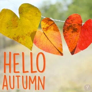 Goodbye, summer - Hello autumn! Today is the first day of fa