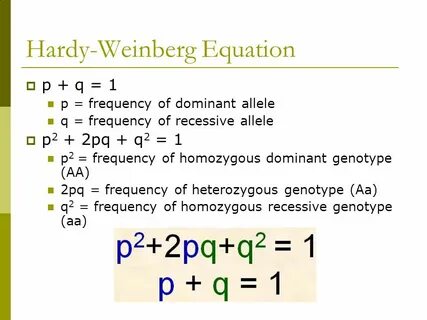 Hardy-Weinberg Equilibrium - ppt download