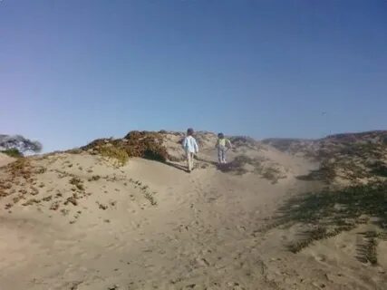 تعليقات حول Morro Strand State Beach - Morro Bay, كاليفورنيا