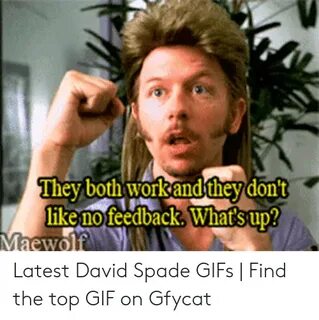 🐣 25+ Best Memes About Joe Dirt Fireworks Meme Joe Dirt Fire