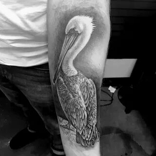 50 Pelican Tattoos For Men - Water Bird Design Ideas