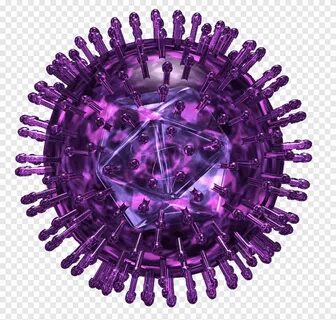 Free download Herpes simplex virus Herpesviruses Herpes labi