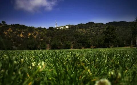 landscape, Worms Eye View, Grass, Hollywood, Signs, Hill, Ca