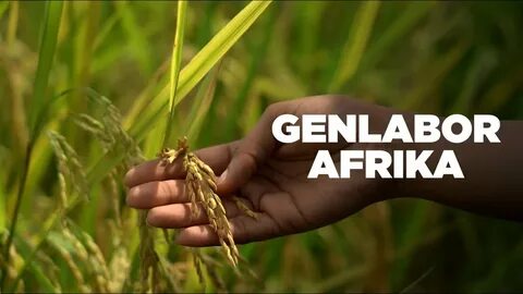 Filmtipp: Genlabor Afrika. Die Geschäfte des Bill Gates (ARTE-Doku) - YouTube