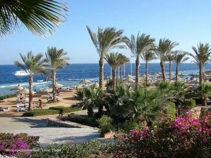 Отель Queen Sharm Resort Beach (Ex.Vera Club Queen Beach) 4*