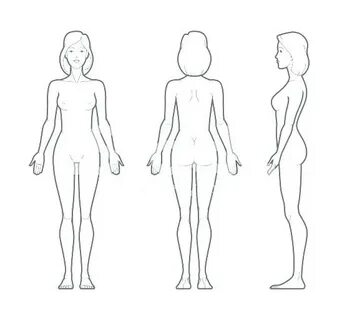 Female Human Body Outline Drawing at PaintingValley.com Expl