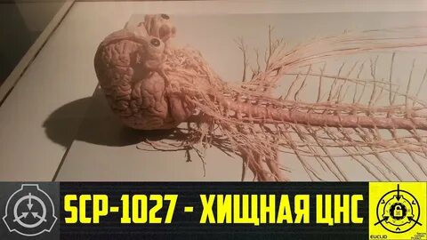 SCP-1027 - Хищная ЦНС (СТАРАЯ ОЗВУЧКА) - YouTube