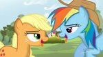 Pin by agolloh on Applejack X Rainbow Dash My little pony fr