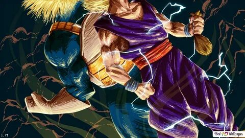 Dragon Ball Z - Gohan & Trunks HD wallpaper download