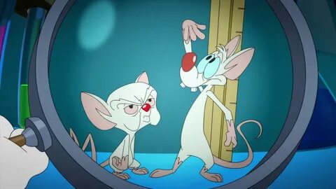 Animaniacs 2020 - Pinky and the Brain intro (Russian) TVShow