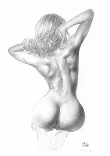 Figure studies by Frank Cho " The Artistic Anatomy Blog nude