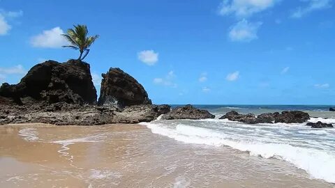 Praia de Tambaba, Conde, Paraíba - YouTube
