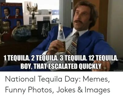 🐣 25+ Best Memes About National Tequila Day Meme National Te