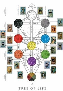 Image result for kabbalistic tree Tarot, Tree of life, Tarot