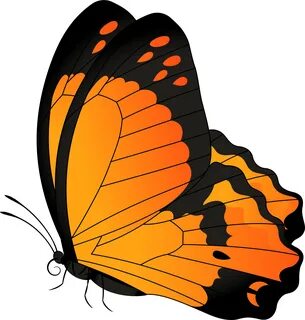 Butterfly Orange Transparent Clip Art Image - Png Download -