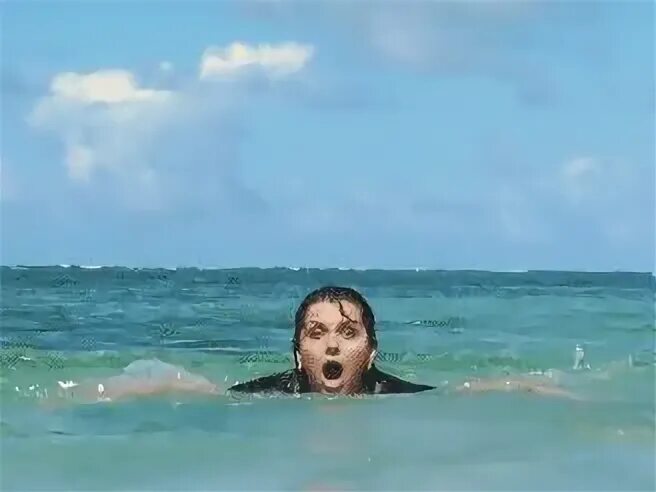 Way Better Than Watching Whales. 