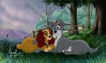 Lady and Tramp - Disney's Lady and the Tramp Fan Art (409627