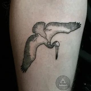 pelican tattoo. Blackwork tattoo dotwork tattoo pointillist 
