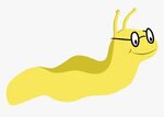 Banana Slug Clipart - Banana Slug Clip Art, HD Png Download 