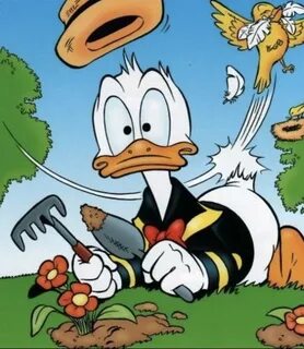 Donald Duck Donald duck comic, Disney duck, Donald duck