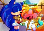 The Sontails Blog UPDATE:. X-Mas Special Sonic fan art, Soni
