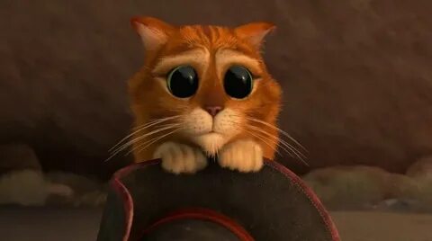 Create meme "the cat from Shrek GIF, puss in boots eyes , I'