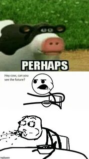 Image tagged in perhaps cow,cereal guy spitting,future - Img