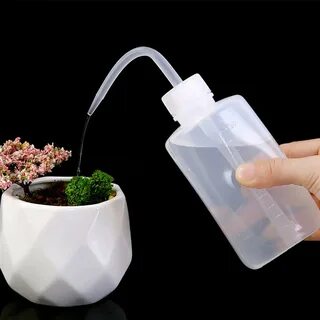Buy ViewHuge 500ML Succulent Plant Watering Spray Bottle Hou
