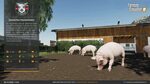 FS19 Pig Breeding / Schweinezucht Mod v1.0 - FS 19 Other Mod