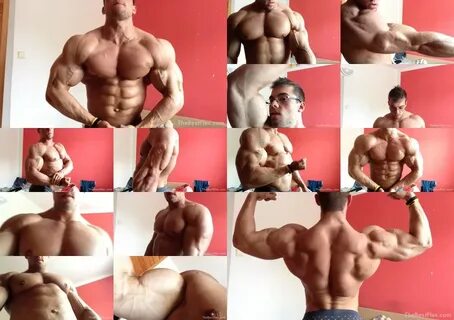 TheBestFlex - Zeecko - Muscle Perfection 720