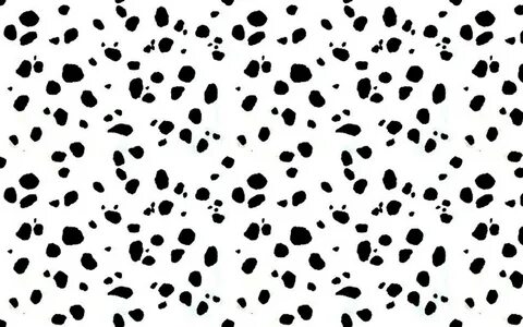 Dalmatian Backgrounds - Wallpaper Cave