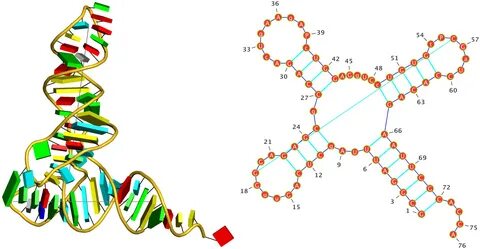 3DNA Homepage -- Nucleic Acid Structures
