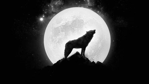 Full Moon Wolf Wallpaper - 2022 Live Wallpaper HD Wolf silho