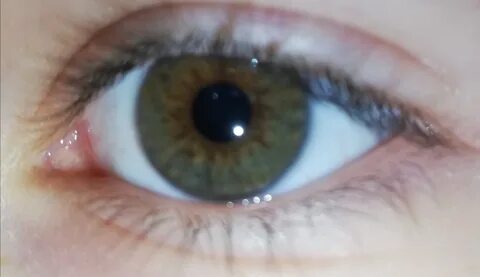 Какой у меня цвет глаз Форум