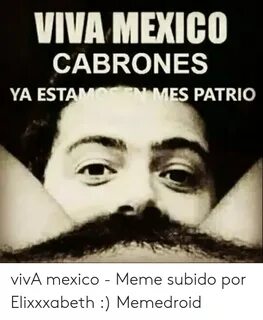 VIVA MEXICO CABRONES YA ESTAM MES PATRIO vivA Mexico - Meme 