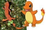 Pokémon Inspirations - Metro Parks - Central Ohio Park Syste