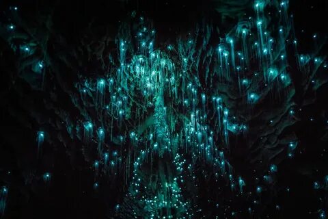 glowingcave10 - Fubiz Media