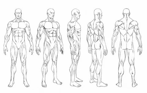 Robert Atkins Art: Character Turnarounds and Figure Template