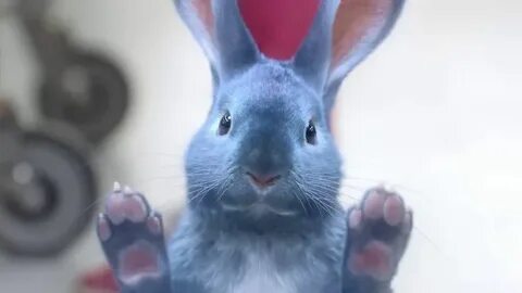2016 Blue Bunny TV commercial The Ice Cream AisleSavefromNet