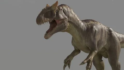 ArtStation - Allosaurus (2) Dinosaur Maya Rig Resources