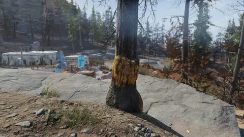 Fallout 76: Where To Find Glowing Resin Locations Guide - Ga