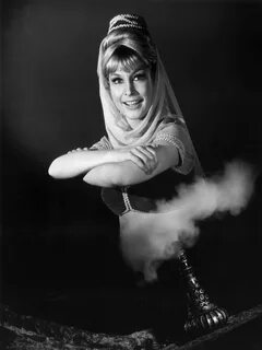 Barbara Eden Photo: I Dream of Jeannie Dream of jeannie, Bar