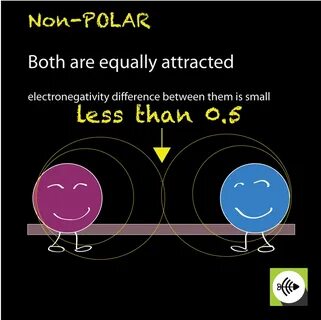 Ch4 Polar Or Nonpolar : Polar and Nonpolar Covalent Bonds: D