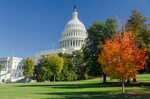 Фото Вашингтон США Capitol осенние траве дерево Города