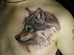 Cute Grey Ink Wolf Head Tattoo On Man Chest Тату, Волк, Тату