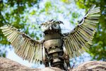 Owl Metal Art Sculpture (Flying Owl), Скульптура - Mari9art 